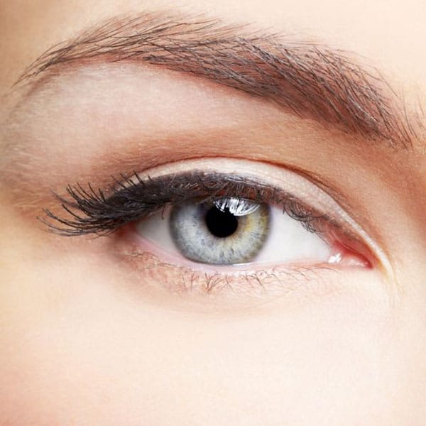 Brow And Lash
